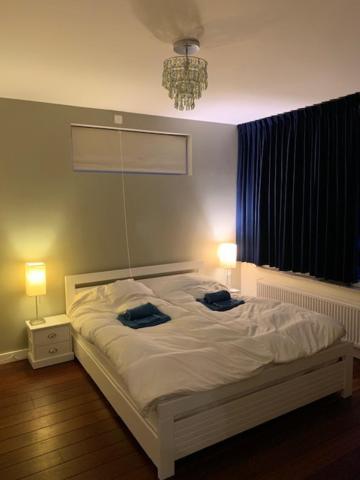 Villa Cosy Central Incl Jacuzzi Near Trainstation, Beach And City Heemstede Esterno foto