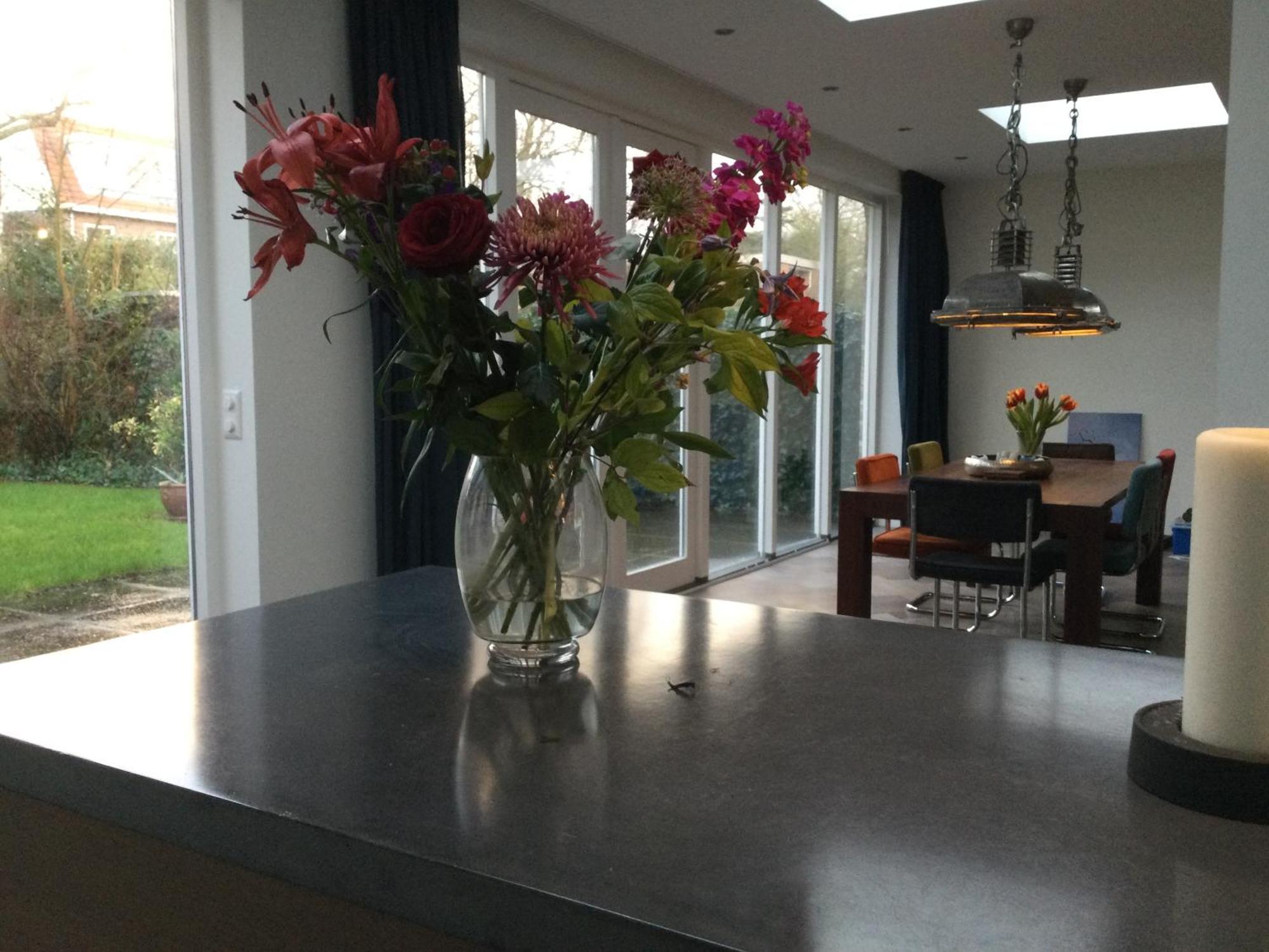 Villa Cosy Central Incl Jacuzzi Near Trainstation, Beach And City Heemstede Esterno foto